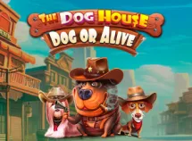 La niche du chien - Chien ou vif